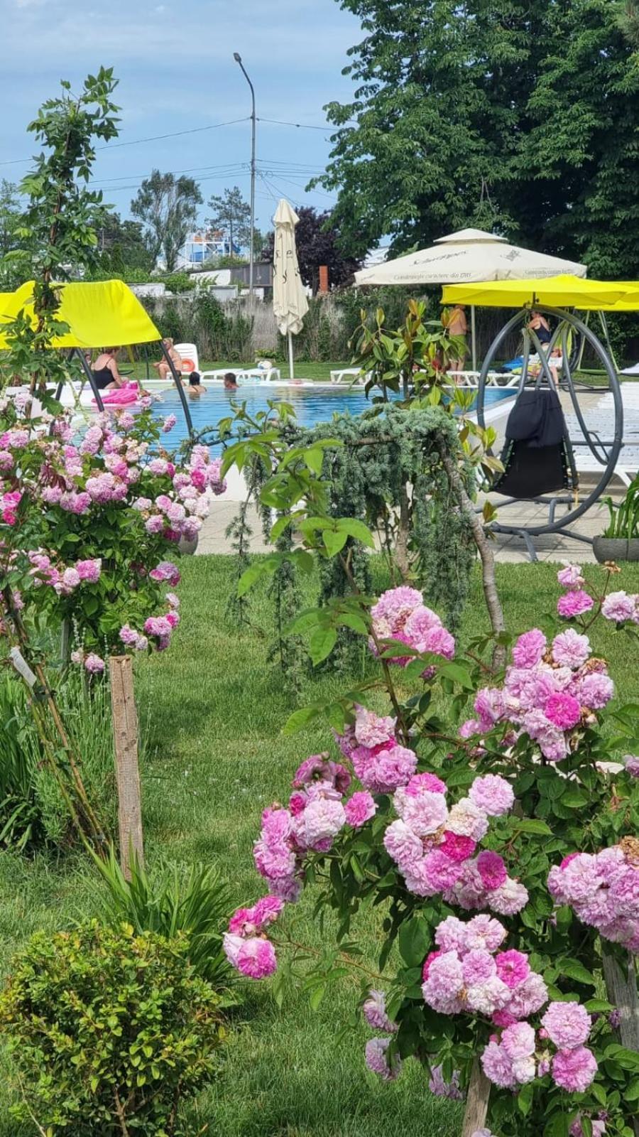 Hotel Iulia Resort Venus Bagian luar foto